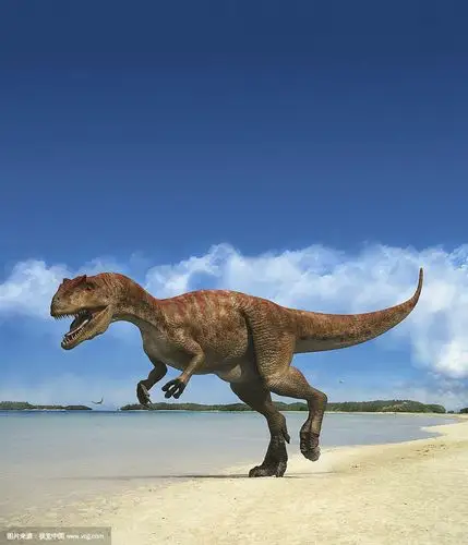 异特龙,一种生活在海边的恐龙,生活在侏罗纪.肉食恐龙.