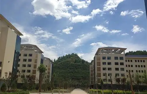 绵阳市艺术学校2021年招生要求有哪些_好学院招生网