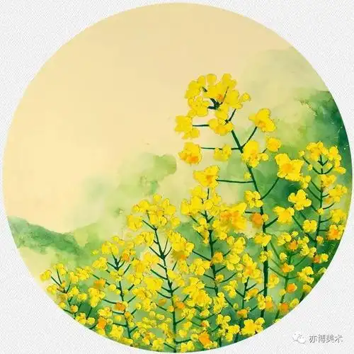 【水彩油画棒创意手绘】春天打卡的油菜花与蝴蝶
