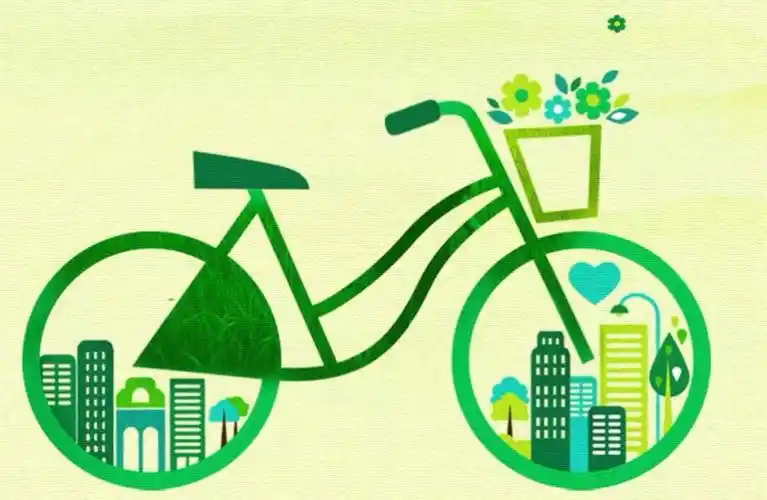 有一种感动叫热心!湖小二(13)班--整理共享单车公益活动