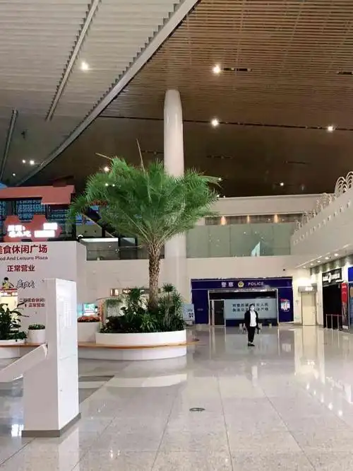 厦门高崎国际机场t3航站楼