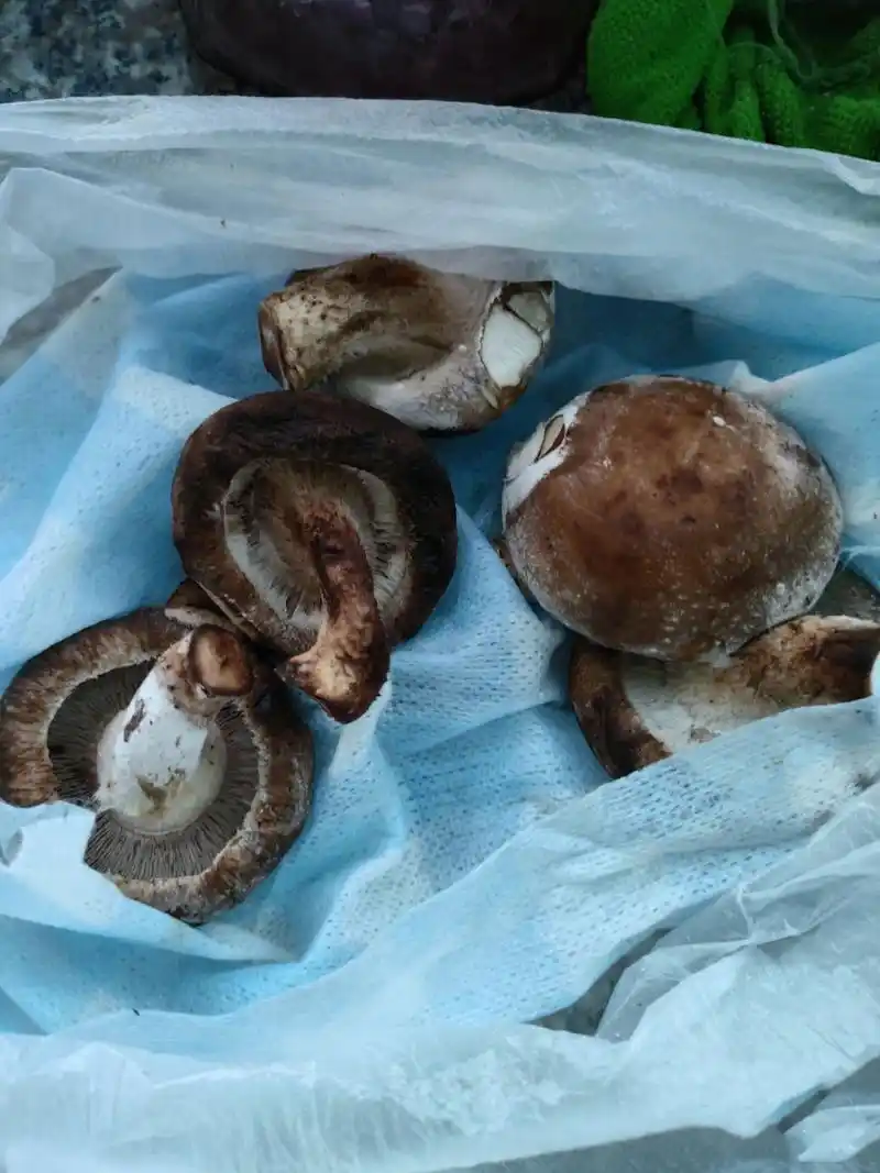 广大的朋友们,请把你们保存香菇的方法,通通项我砸来 	 8·30日