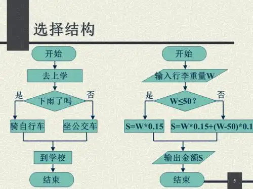 流程图顺序结构分支结构ppt精选文档