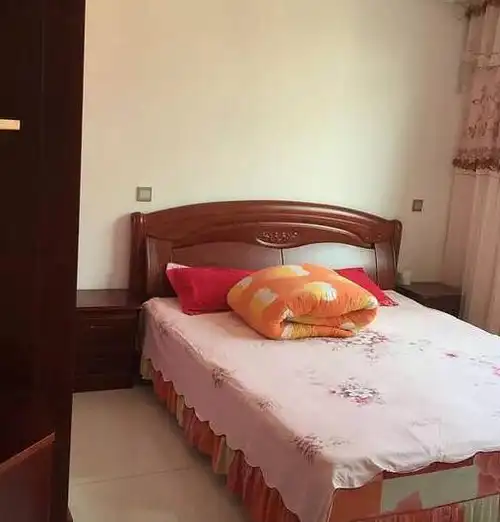 东北农村花20万建一层小平房,虽然不大不华丽,但充满家的味道