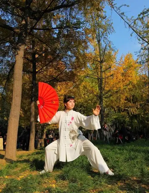 太极扇结束亮相造型,太极扇表演背景-图片大观-奇异网