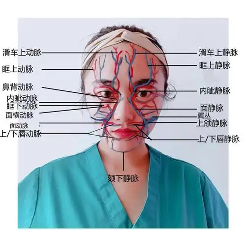 整容师|甩卖|准备|血管|面部|执业|医疗|医院|-健康界