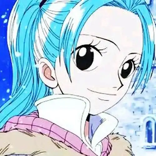 我迷恋的海贼王 薇薇公主