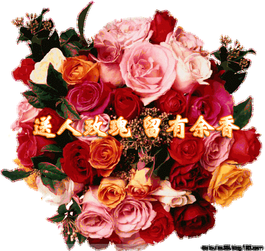 送你3朵玫瑰,我爱你!