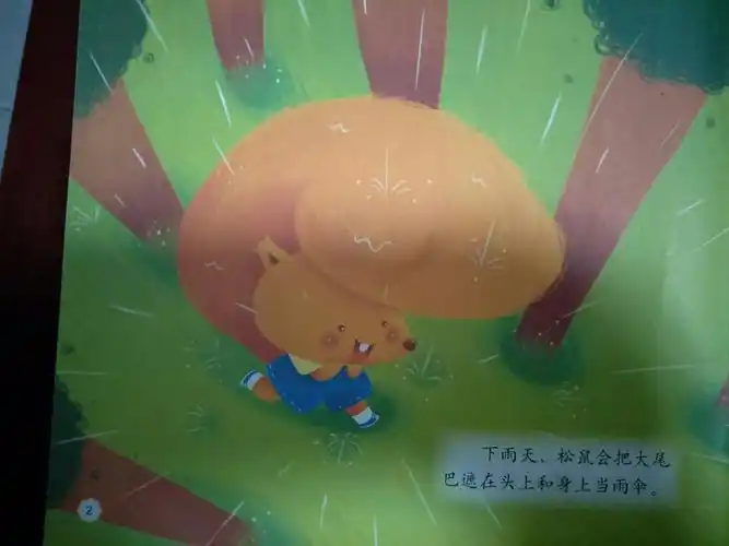 故事《小松鼠的伞》