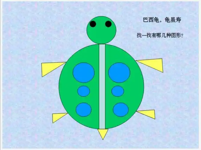 乌龟先生出来啦,我们来找一找乌龟先生藏了几个图形宝宝