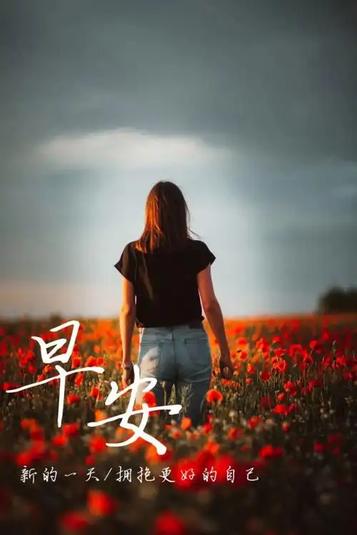 正能量夫妻感情句子( 夫妻感情正能量的句子 )