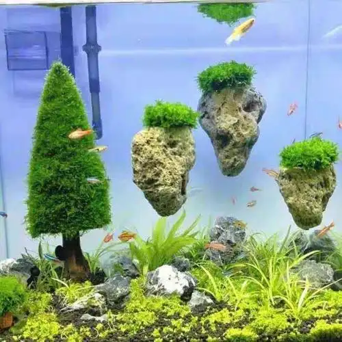 浮石造景鱼缸水草装饰阿凡达悬浮莫斯水族景石造景