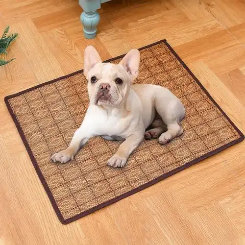 垫子宠物狗狗夏宠物脚垫狗笼拆洗地垫泰迪狗窝垫子