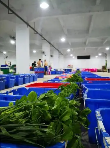 蔬菜配送公司-蔬菜配送-花觅供应链