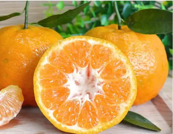 椪柑 点击空白处查看答案 c 椪(pèng)柑又叫芦柑,果皮微微鼓起,作为