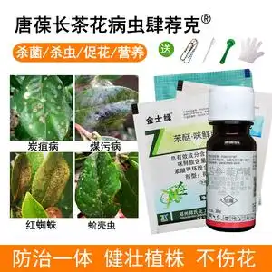 茶花病虫害防治包花药茶梅杀虫杀菌杀蚜虫蚧壳虫山茶炭疽叶斑黄叶