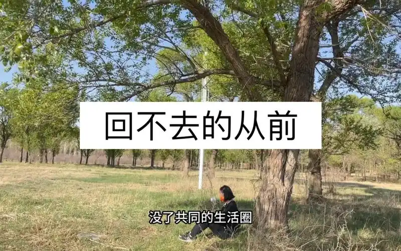 回不去的从前