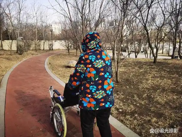 《母亲的背影》