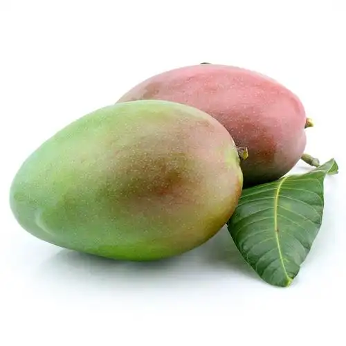 芒果新鲜包邮8斤攀枝花凯特芒大额优惠券