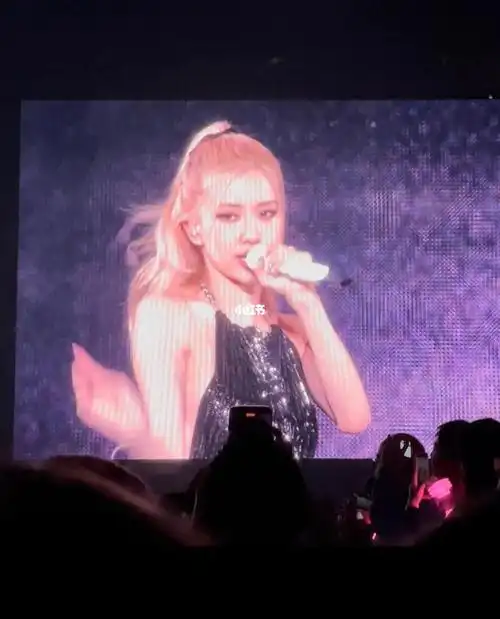 dailyshareblackpinkrosie图片分享