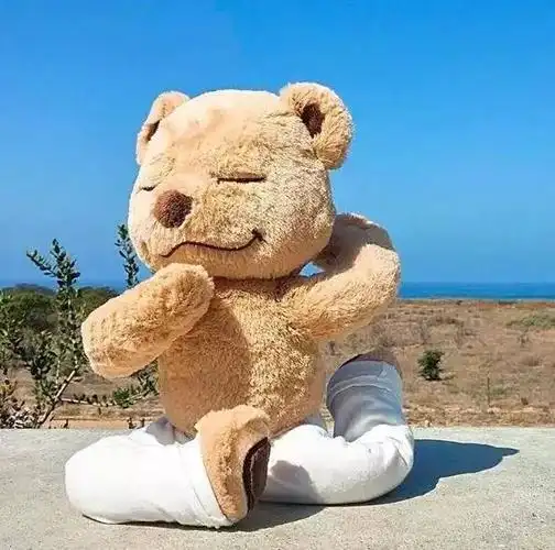 全球的瑜伽网红都在用它凹造型,这只瑜伽熊到底什么来头?