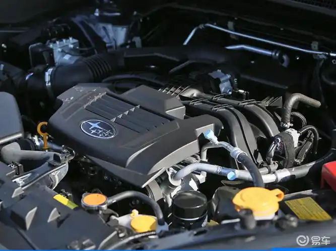 森林人空间_易车知识库