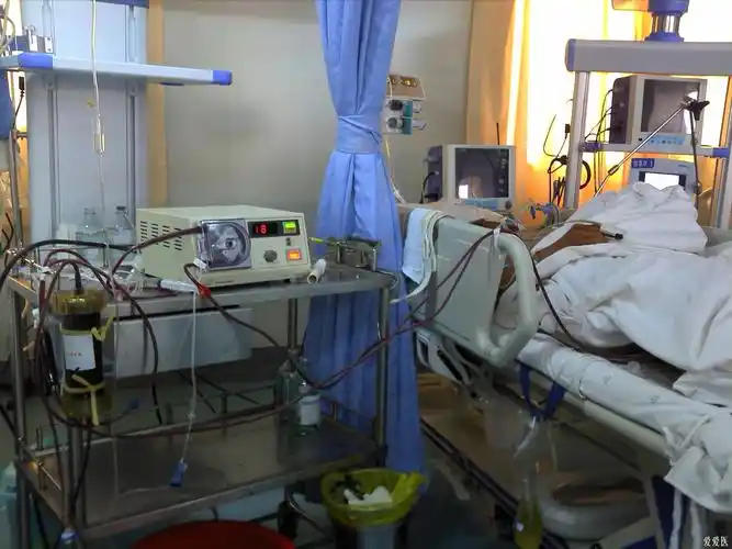 晒下我们的icu
