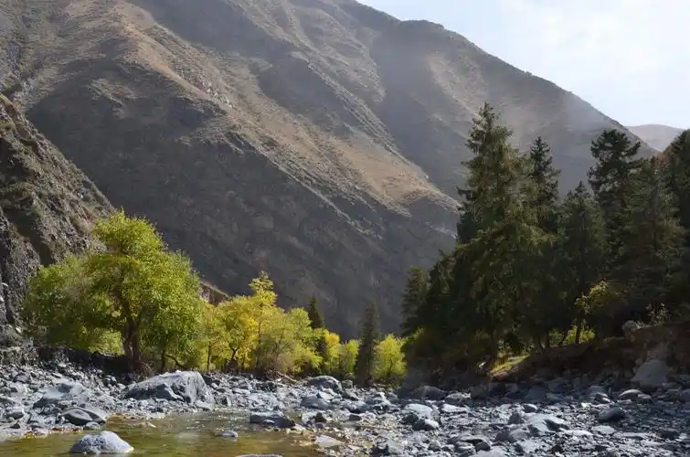 库尔楚大峡谷---十一五天行程,吃羊追狼,腐败加自虐(20页人物,动物