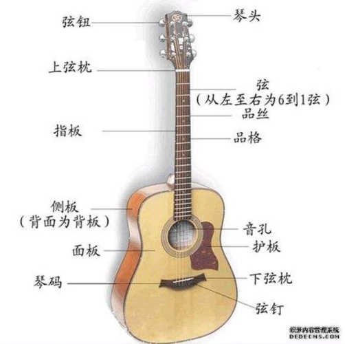 吉他教学第一节