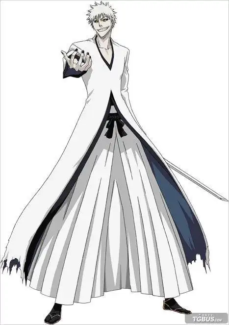 死神白一护美图