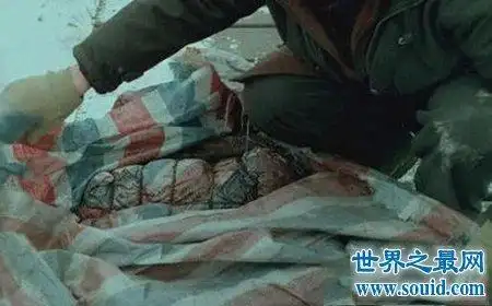 案件中的死者叫做刁爱青,当时是南京大学鼓楼校区信息管理系现代秘书