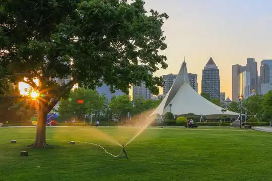 青岛音乐广场图片