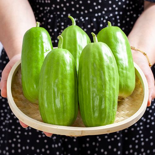 河北菜瓜脆瓜水果新鲜现摘孕妇老人生吃无糖烧瓜八棱脆非玉女甜瓜