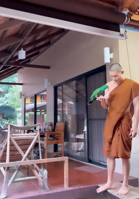 泰国又出一个肌肉和尚,维度虽然不大,但是很精壮!_tananat_sun_成年人