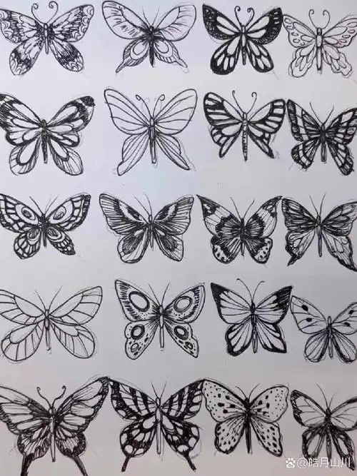 16种蝴蝶怎么画71|小蝴蝶简笔画 |手绘过程