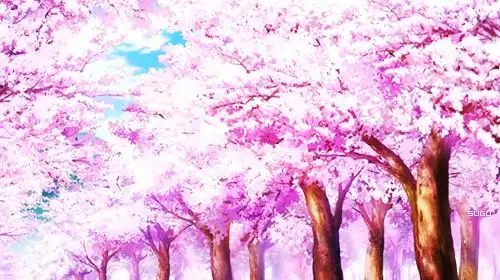 食戟之灵,动漫风景,二次元,截图,动漫,樱花ヽ(0766`ヽ)