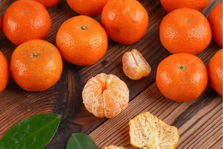 橘子水果砂糖橘摆拍