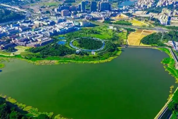 前方到站,光明科学城!|科学城|公园|虹桥公园_新浪新闻