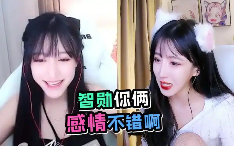 呆妹儿智勋夫妻诈骗,南波儿:小丑竟是我自己