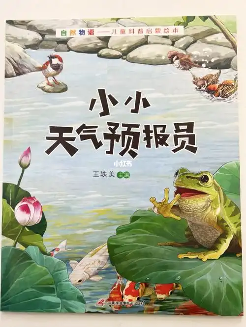 小小天气预报员