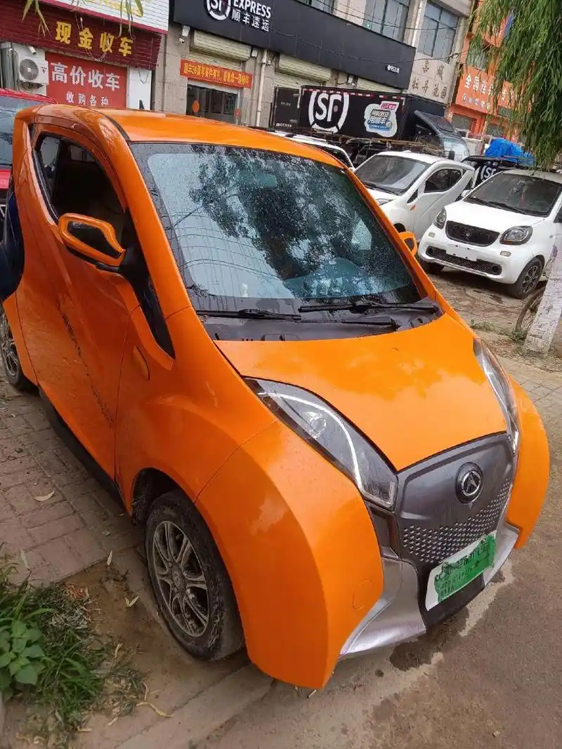 丽驰b01-s,6块100a电池还可巡航百公里,4000瓦大电机,带有倒车影像