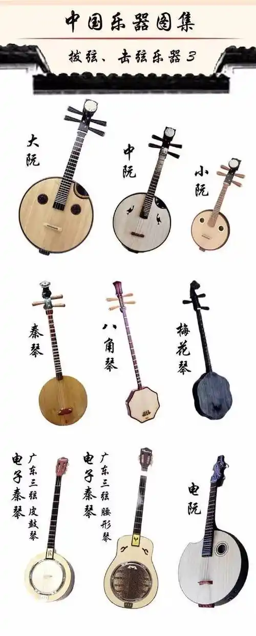 中国传统弦类乐器图鉴