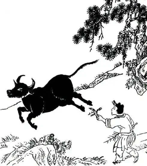 南怀谨   现在给你们讲这一条牛了,这是禅宗渐修的心地法门,《牧