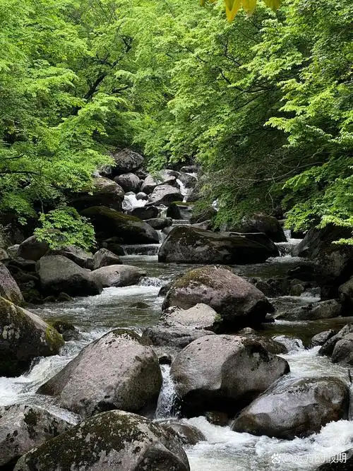 去有山的地方# 云雾山,陕南夏日必去的清凉世界!