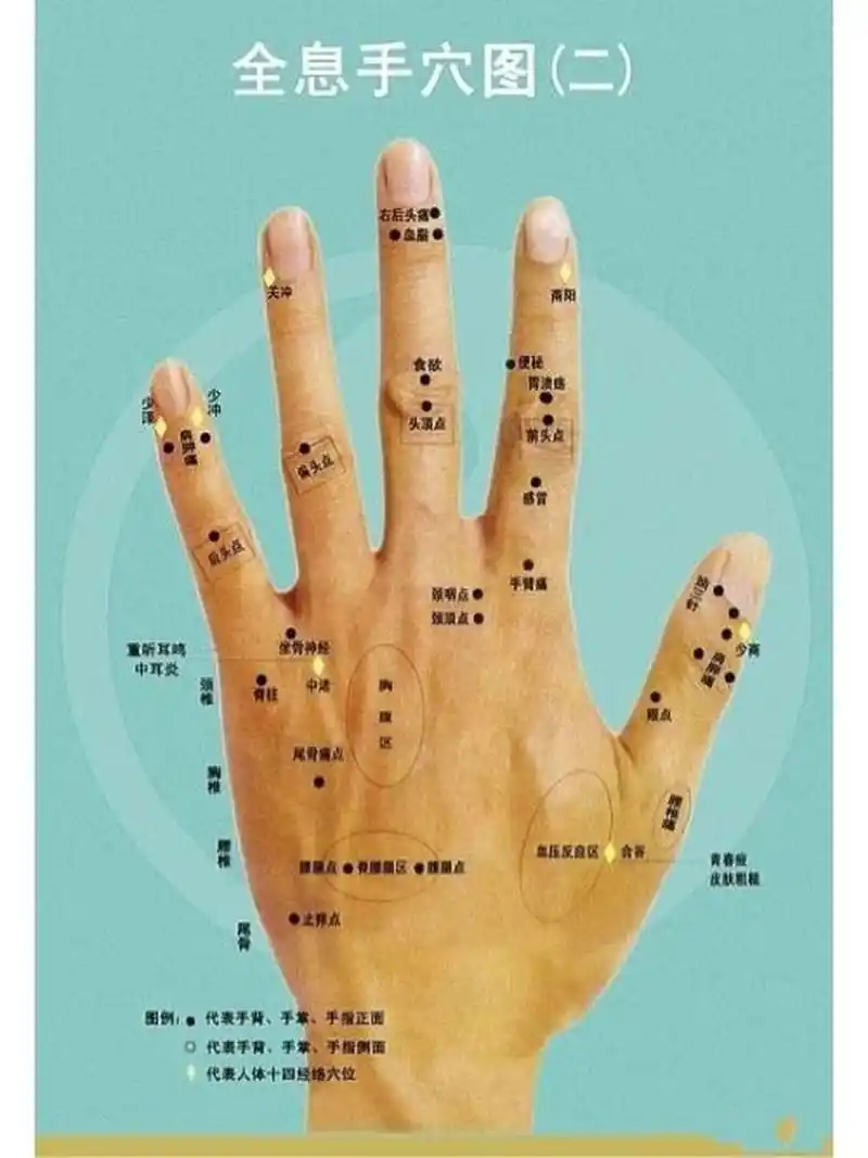 中医人体穴位分布及作用:《全息手穴图》 中医认为手