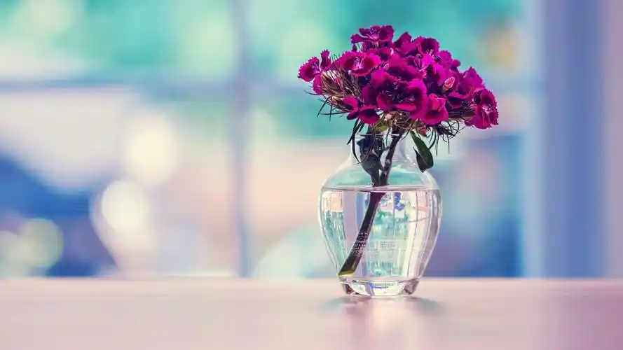 清新康乃馨插花壁纸