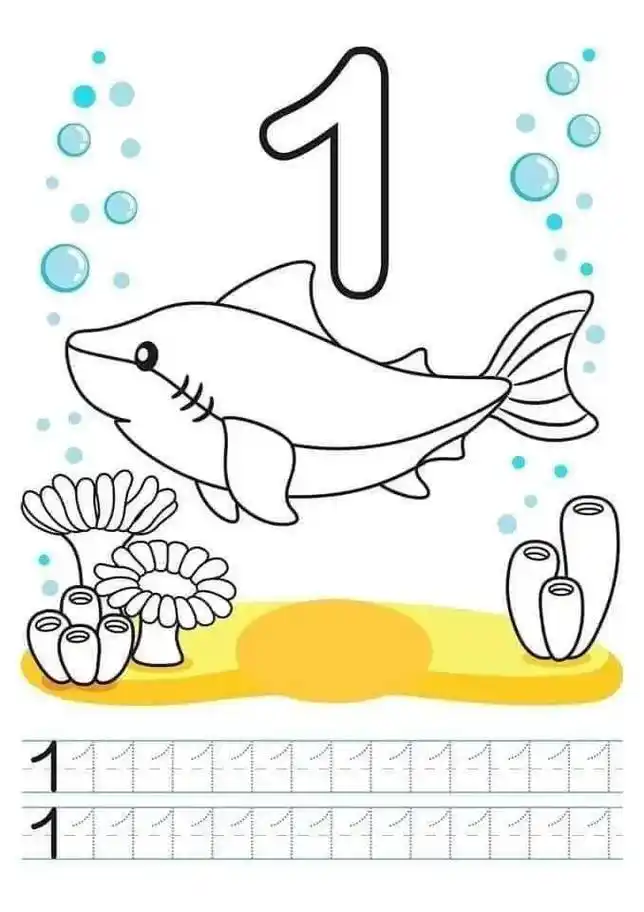 数字简笔画,适合3 的宝宝.涂色和点数,还能认识海洋动物,一 - 抖音