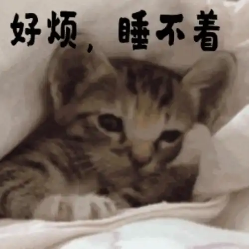 失眠睡不着图片失眠的搞笑动图表情包