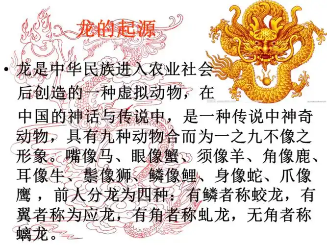 探索龙文化我们身边的龙文化ppt