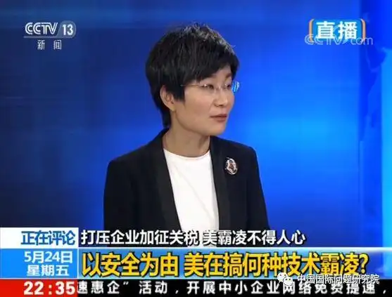 苏晓晖:打压企业加征关税 【环球视线】